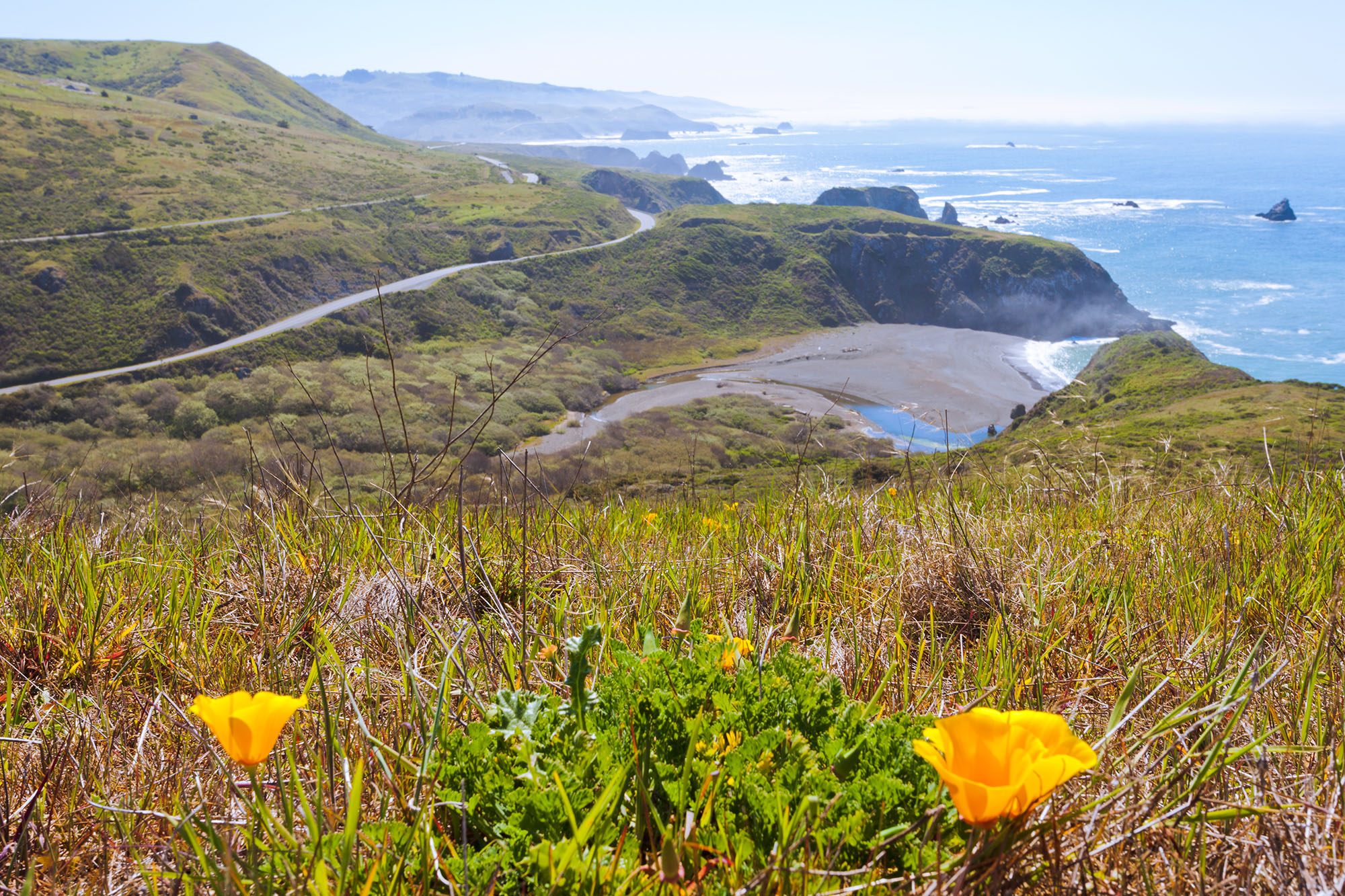 A winding road through the Sonoma coastal hills