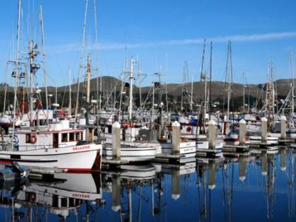 Spud Point Marina, Sonoma County